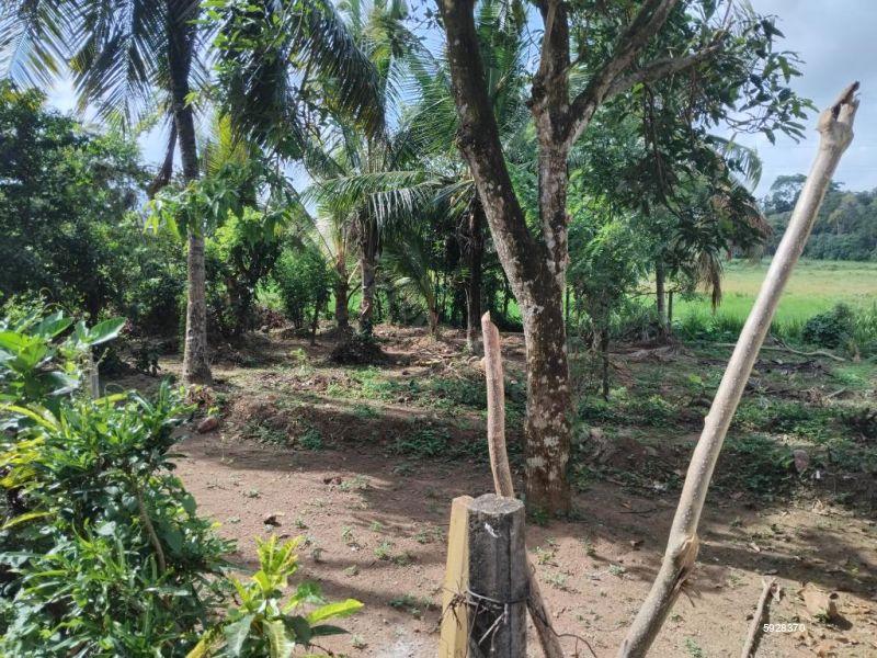 Bare Land for sale in Malabe