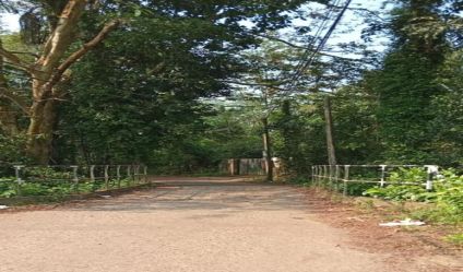 Bare Land