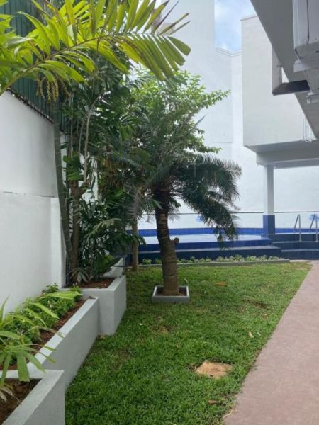 Exterior - Ultra-Luxury Villa for Rent in Nawala – PDC184