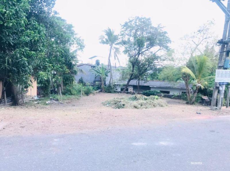 Rajagiriya Bare Land for sale/rent