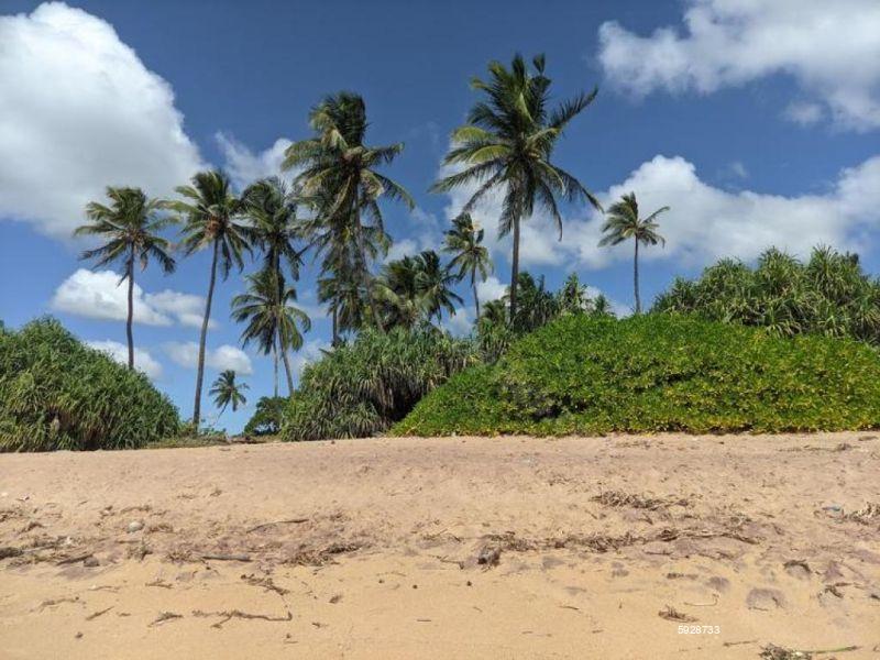 Beachfront land for sale in Ambalantota