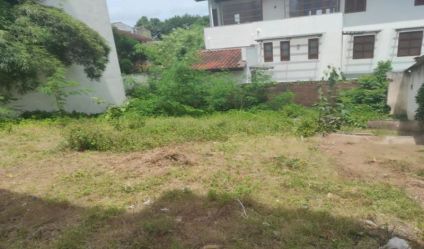 Bare Land