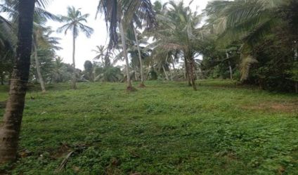 Land with house