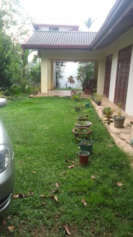 Exterior - Kandana Hapugoda 03 Bed Room House on 33.2 Perches of Land for Sale 