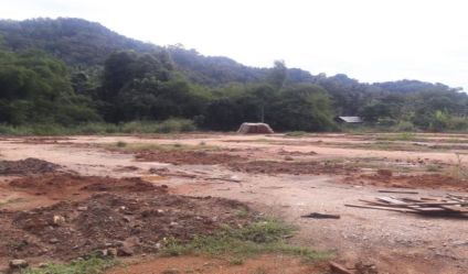 Bare Land