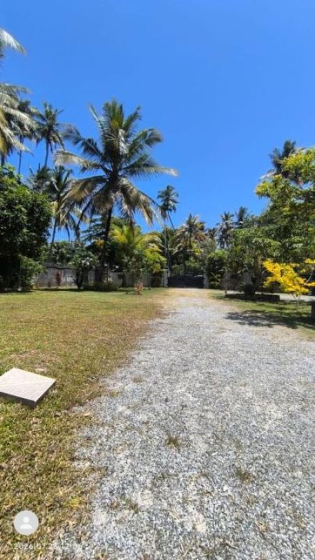 Exterior - Modern  Villa For  Sale In Ahangama  In Closer  Beach-code Add 973