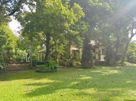 Exterior - Architecturally Designed Villa For Sale In Hokandara