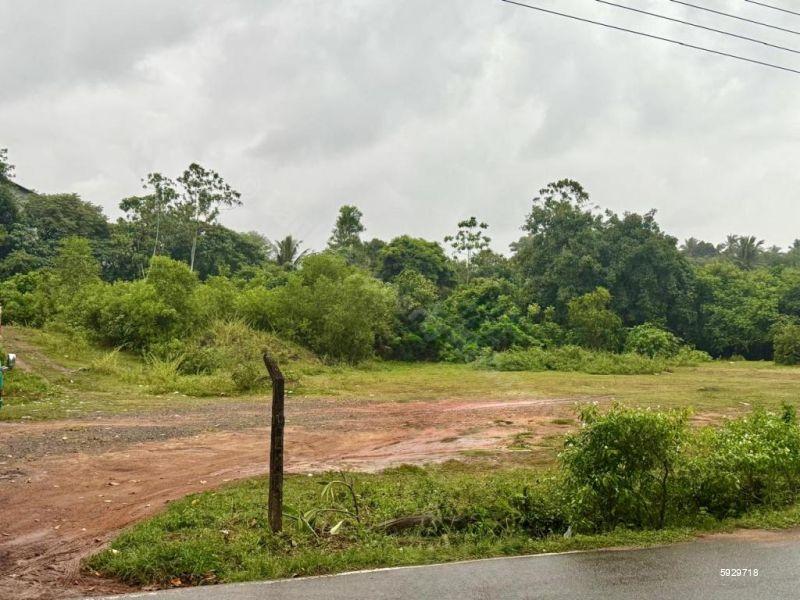 Piliyandala Bare Land for sale/rent