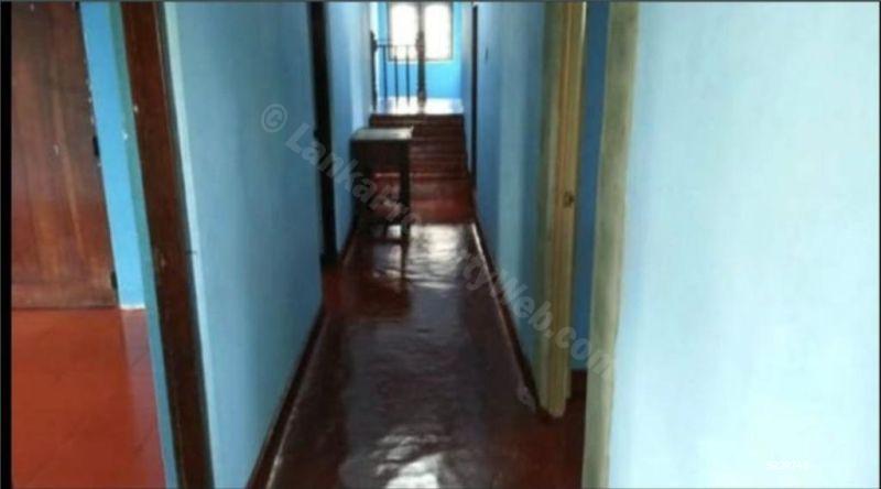 Commercial for rent in Colombo 8