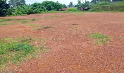 Bare Land