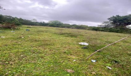 Bare Land
