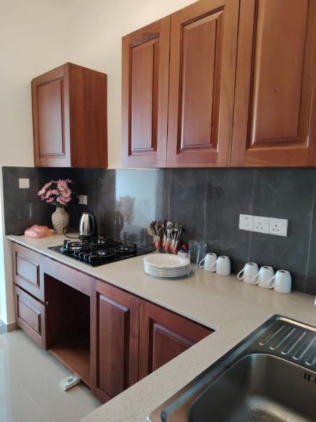 Kitchen - Stylish 3-Bedroom Apartment for Sale – Canterbury Garden