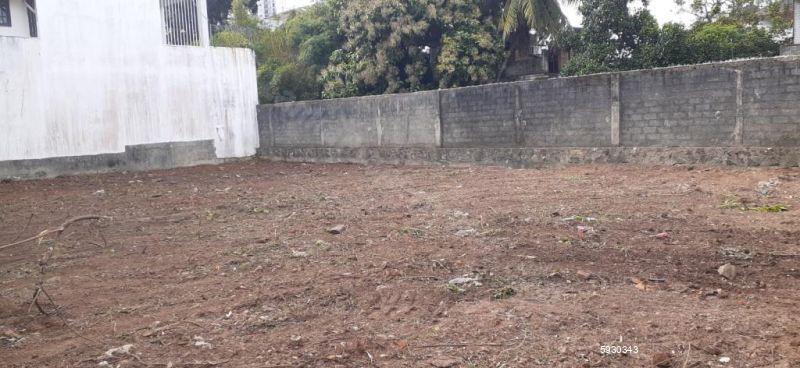 Bare Land for sale in Colombo 8