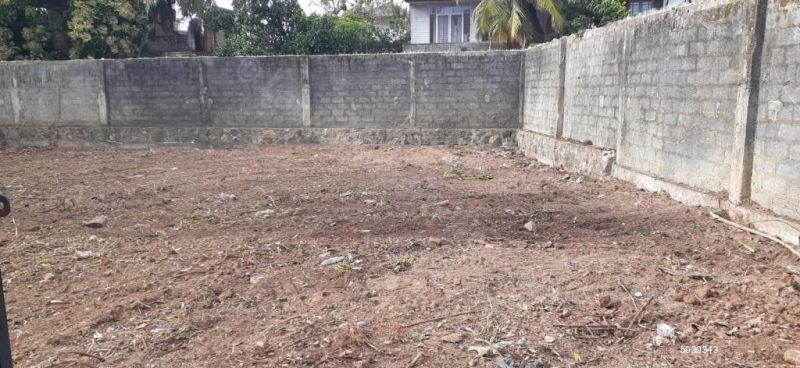 Bare Land for sale in Colombo 8