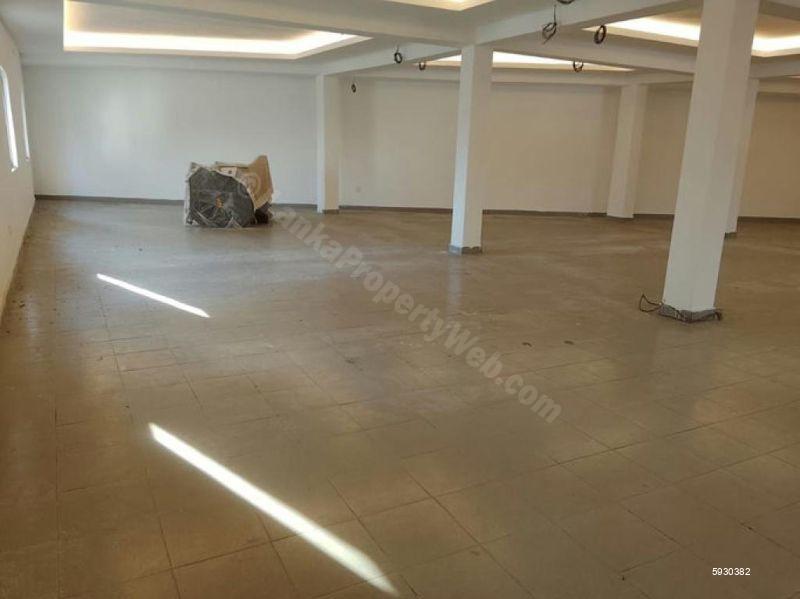 Commercial for rent in Colombo 7