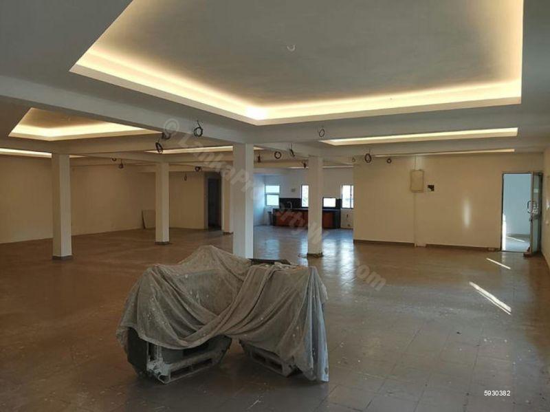 Commercial for rent in Colombo 7