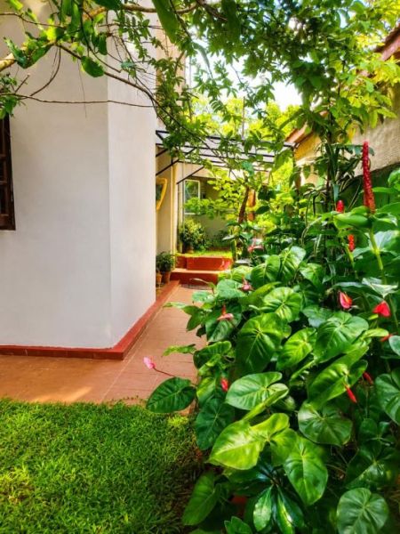 Exterior - 2 story house for Sale in Jaela  (SSPH-423)
