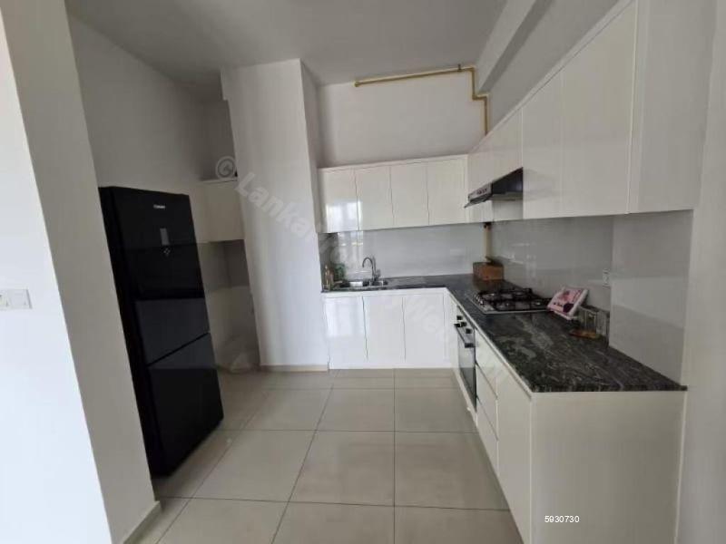 Kitchen - Apartment for rent in Colombo 5
