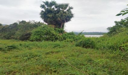 Waterfront land