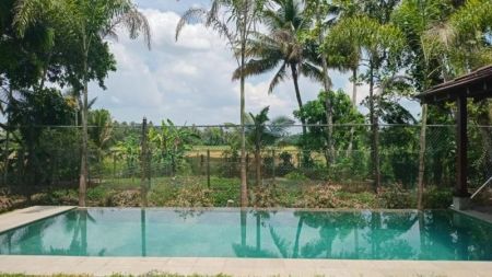 Exterior - 5 BR Two Storied House For Rent in Battaramulla- PDH199