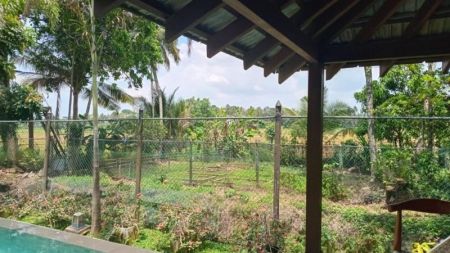 Exterior - 5 BR Two Storied House For Rent in Battaramulla- PDH199