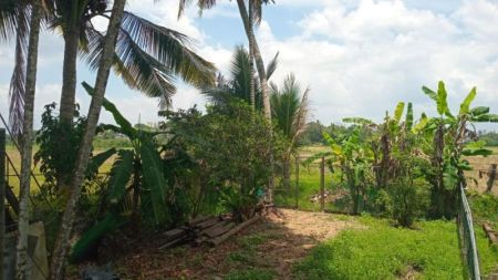 Exterior - 5 BR Two Storied House For Rent in Battaramulla- PDH199
