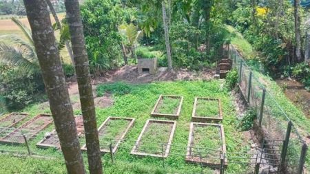 Exterior - 5 BR Two Storied House For Rent in Battaramulla- PDH199