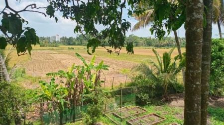 Exterior - 5 BR Two Storied House For Rent in Battaramulla- PDH199