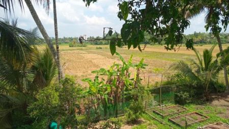 Exterior - 5 BR Two Storied House For Rent in Battaramulla- PDH199
