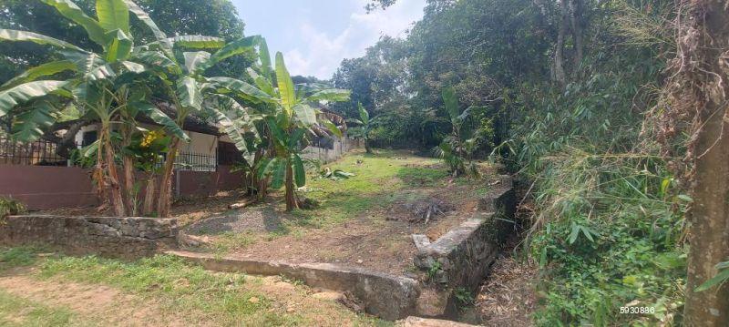 Bare Land for sale in Horana