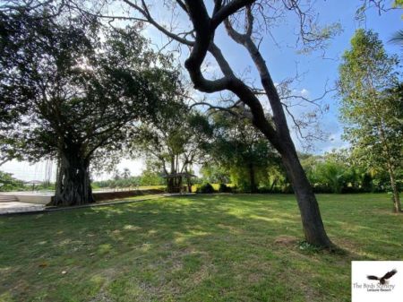 Exterior - Paddy Field Facing Luxury Villa For Sale in Tissamaharama 