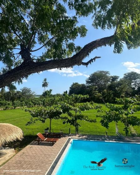 Exterior - Paddy Field Facing Luxury Villa For Sale in Tissamaharama 