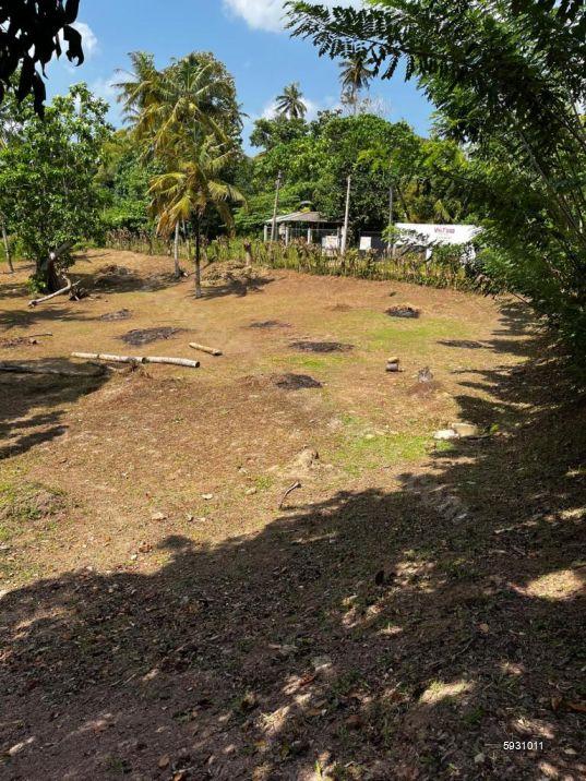 Land with house for sale in Weligama