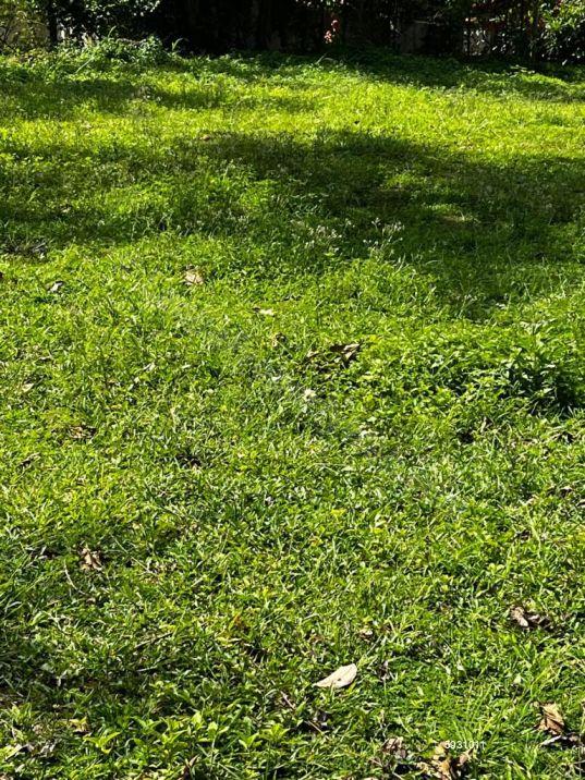 Land with house for sale in Weligama