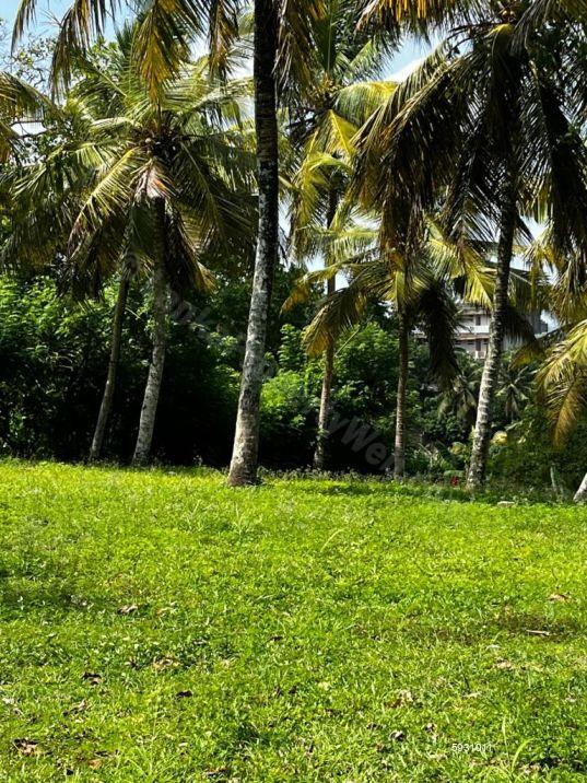 Land with house for sale in Weligama
