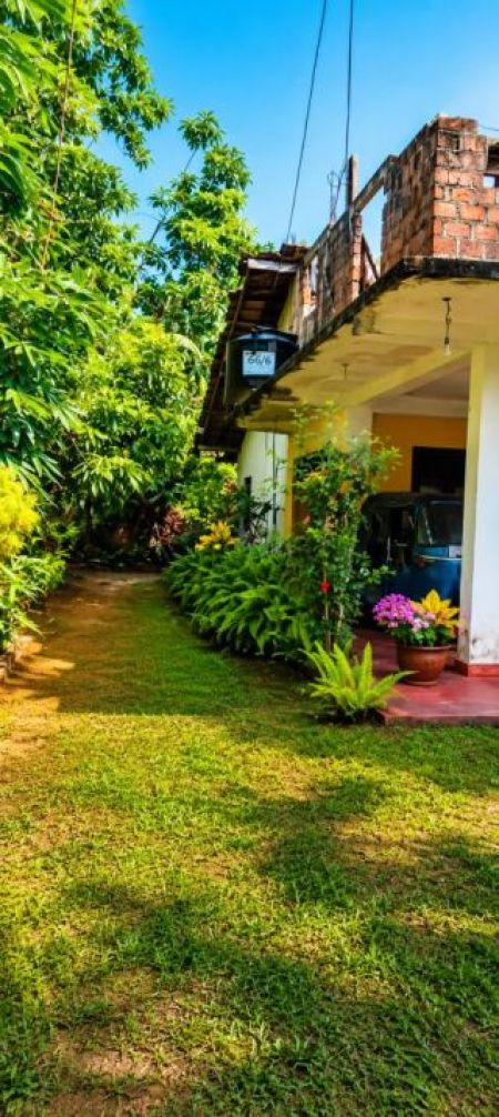 Exterior - House for Sale in Dickwella (SSPH-427)