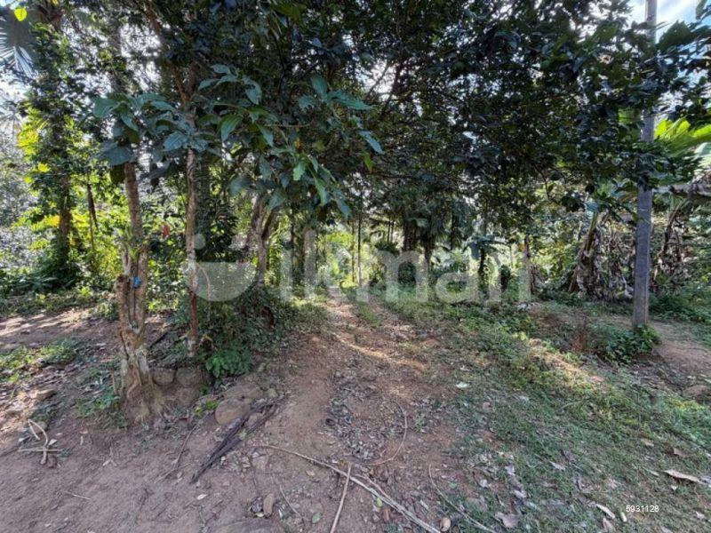 Land with house for sale in Deniyaya