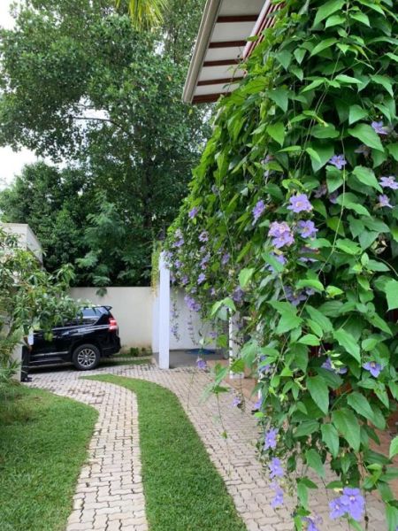 Exterior - Luxury 4 Bedrooms House for Sale in Thalangama - PDH81