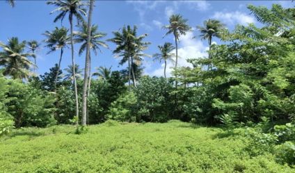 Beachfront land