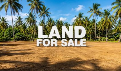 Bare Land