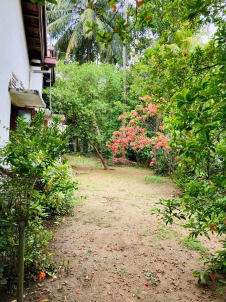 Exterior - Commercial Friendly Property for Sale in Polgahawela