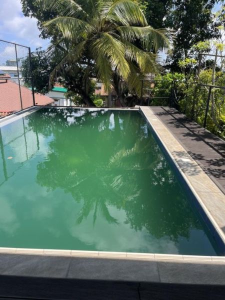 Exterior - Gorgeous 3 Bedroom with a Private Pool for $1399 a month. Super Deals from ZOOM REAL ESTATE | TOP REALTOR ROMESH 