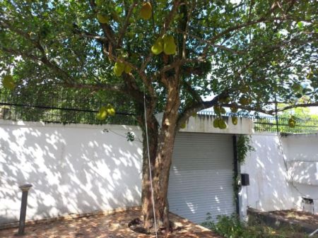 Exterior - 5 Bedrooms House for Sale in Pelawatte  - PDH169