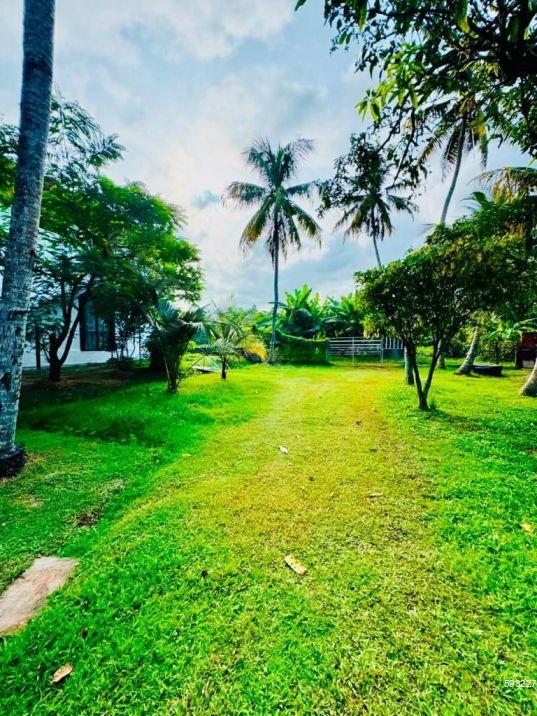 House for rent in Kandana