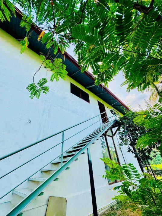 House for rent in Kandana