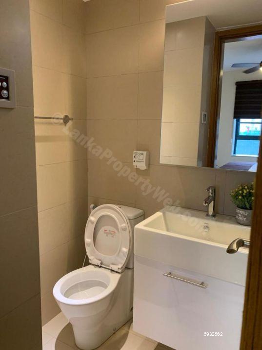 Bathroom - Apartment for rent in Colombo 5
