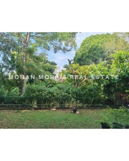 Exterior - House For Sale Samagi Mawatha - Hokandara 