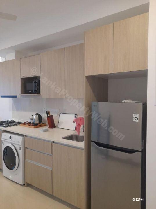 Kitchen - Apartment for rent in Colombo 2