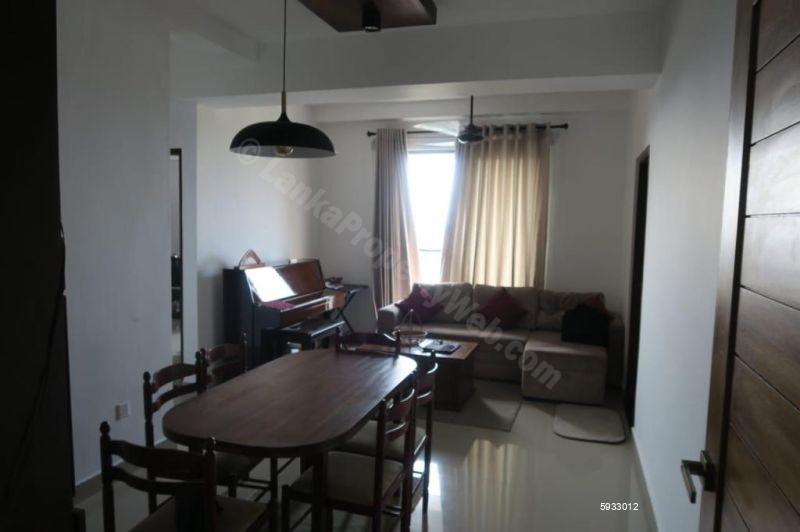 Dining room - Apartment for rent in Colombo 8