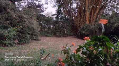 Exterior - 3 Bedroom Bungalow for Sale | Kotte